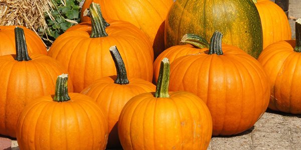 POTAŽ OD BUNDEVE NA MOJ&nbsp;NAČIN