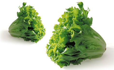 t_bab82e00570d17a1fe3dcad7dabff3eb_236839_magicnobilje_v